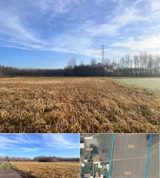 Land for sale