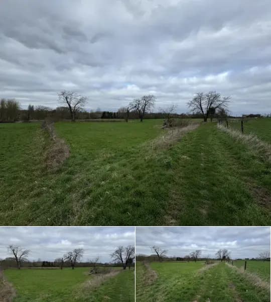 Farmland for sale