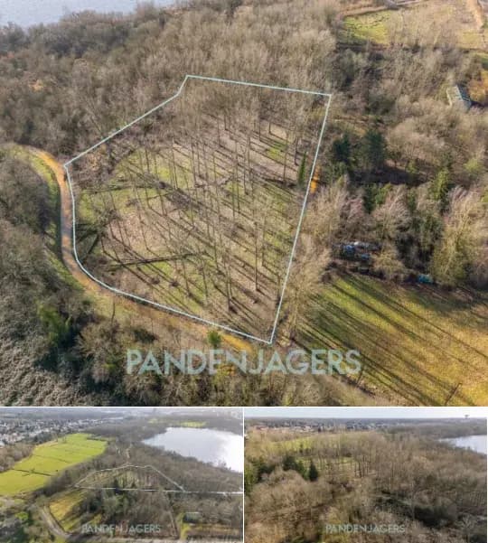 Farmland for sale