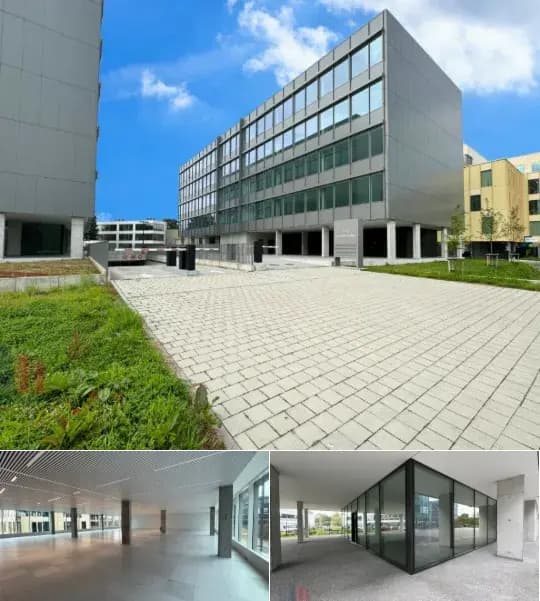 Office space for rent (New construction project)