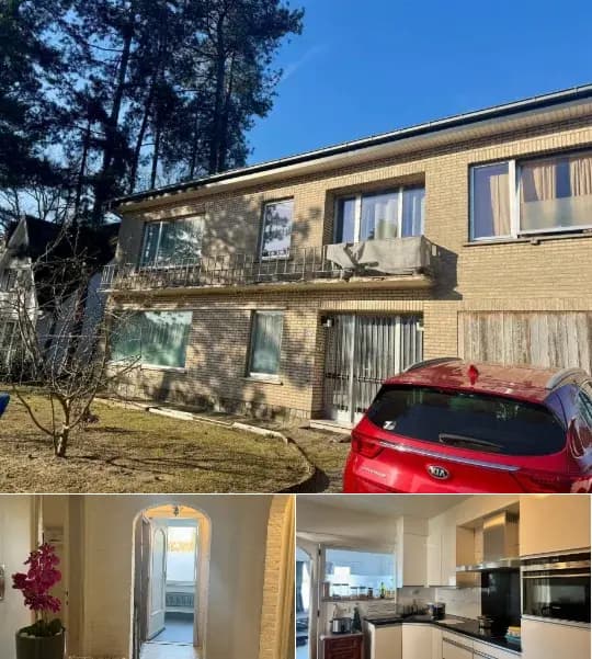 Apartment for rent