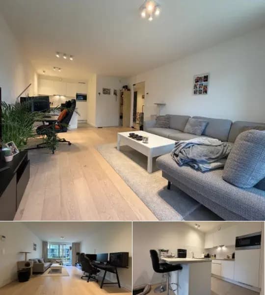 Apartment for rent