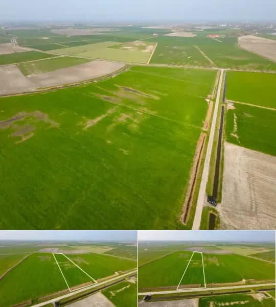 Farmland for sale