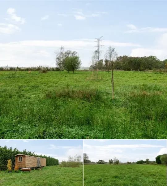 Farmland for sale