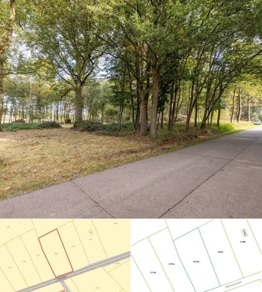 Farmland for sale