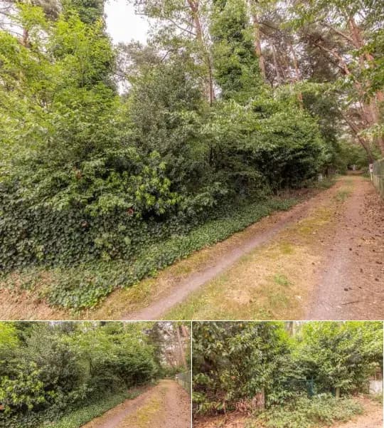 Farmland for sale