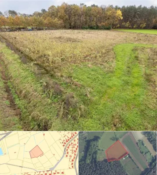 Farmland for sale