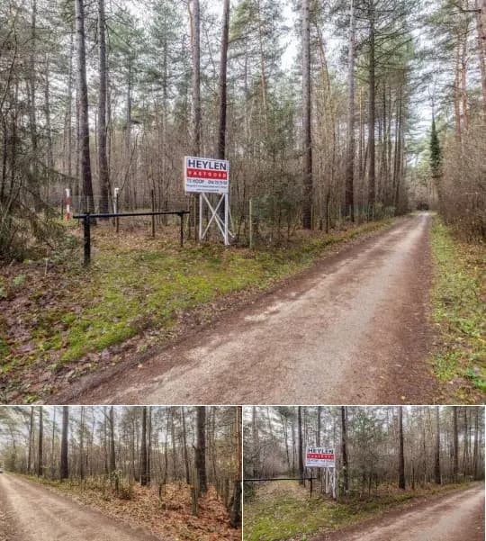 Farmland for sale
