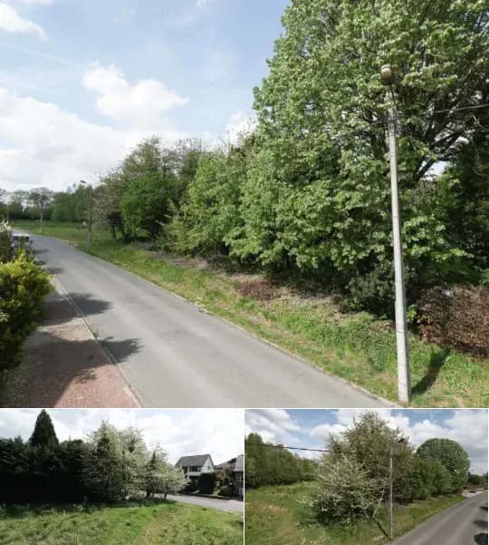 Farmland for sale