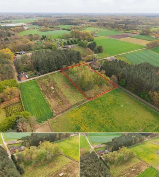 Farmland for sale