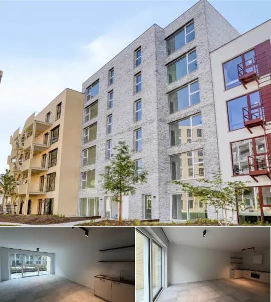 Apartment for rent (New construction project)