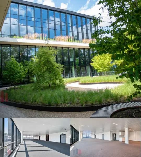 Office space for rent (New construction project)