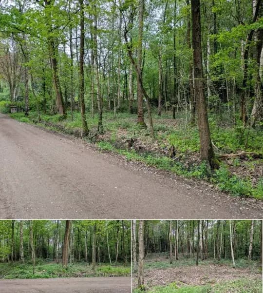 Land for sale