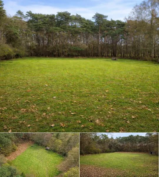 Farmland for sale