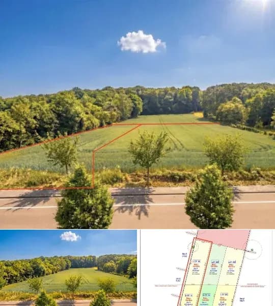 Land for sale
