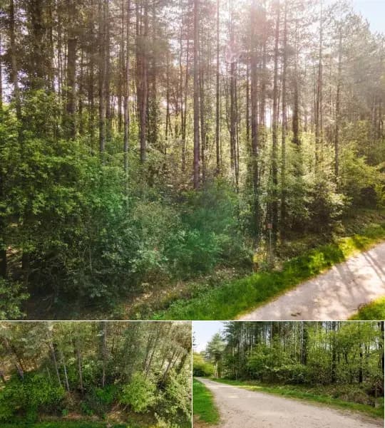 Farmland for sale