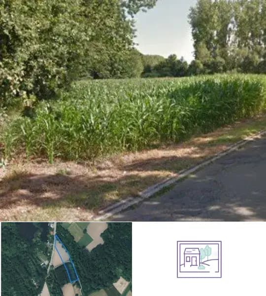 Farmland for sale