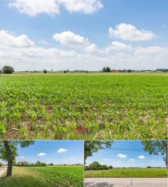 Development site for sale