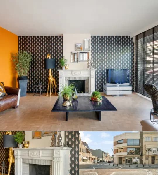 Triplex for sale