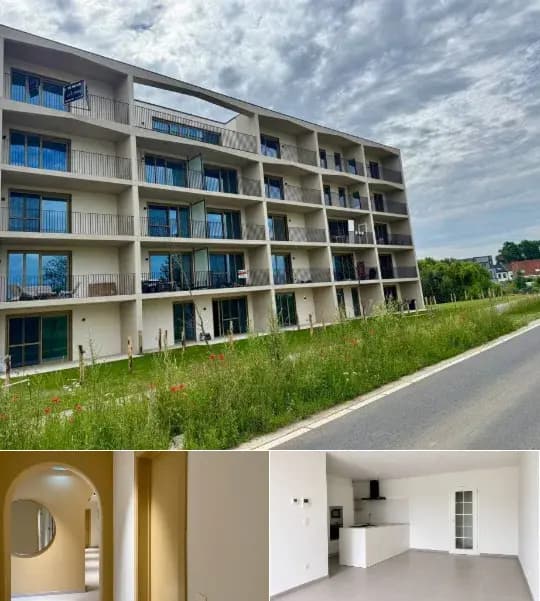 Apartment for rent (New construction project)