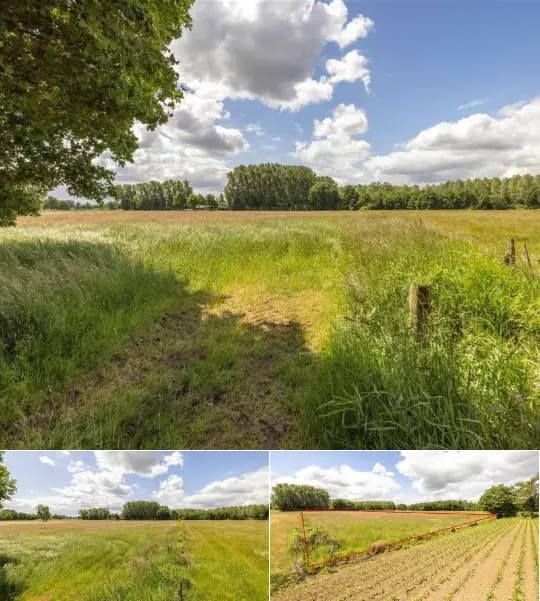 Farmland for sale