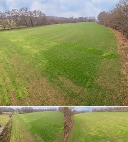 Farmland for sale