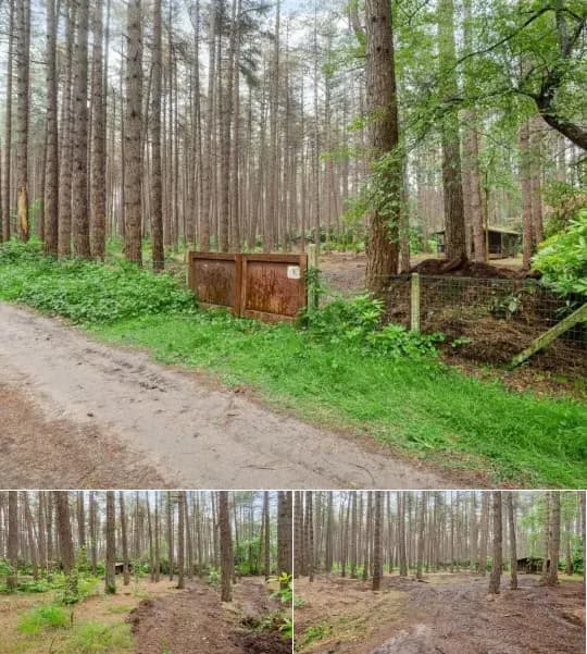 Chalet for sale
