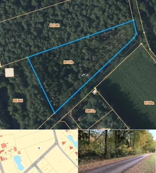 Farmland for sale