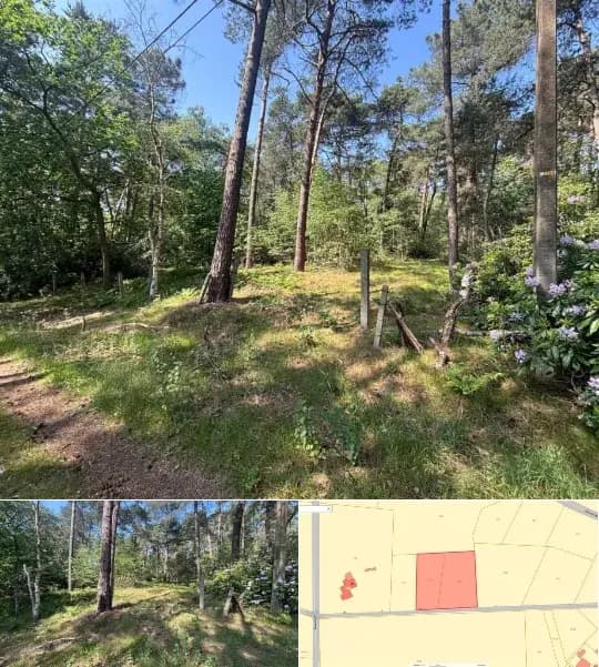 Farmland for sale