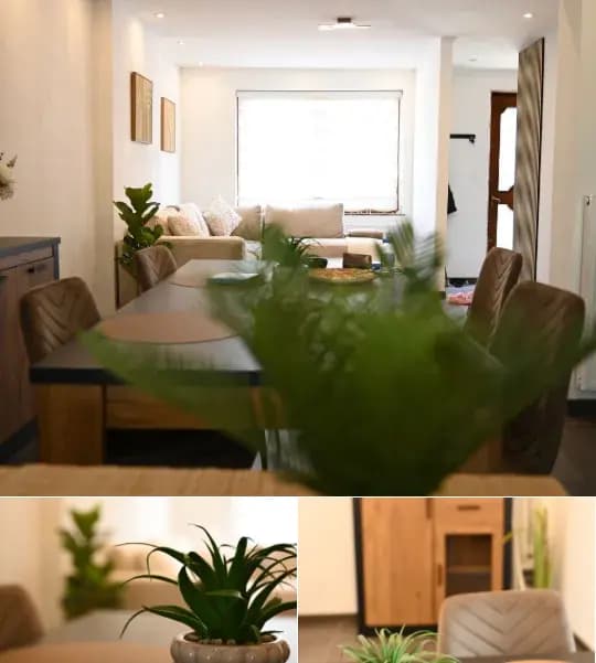 Apartment for rent