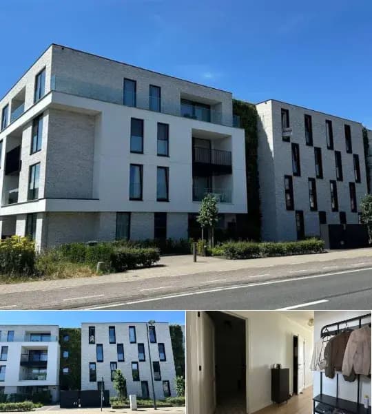 Apartment for rent