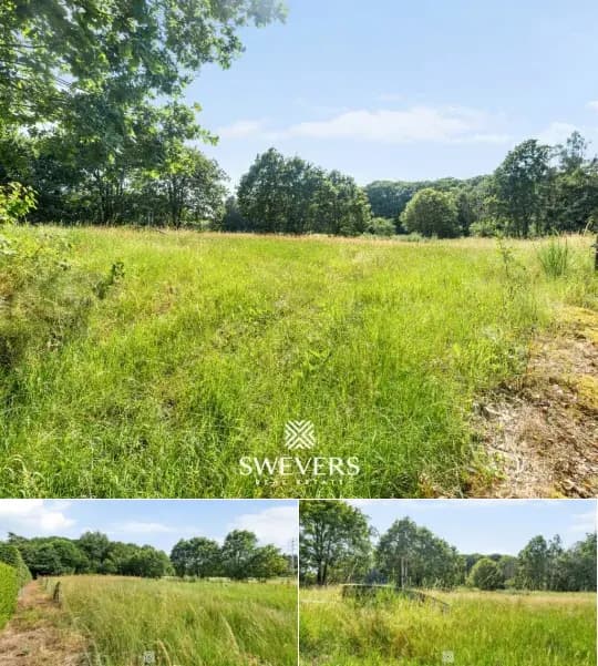 Farmland for sale
