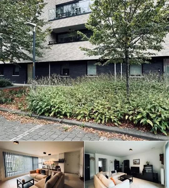 Apartment for rent (New construction project)