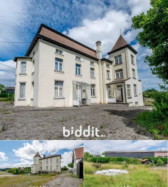 Mansion in public sale