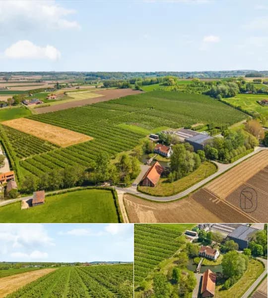 Cottage for sale