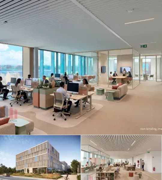 Office space for rent (New construction project)