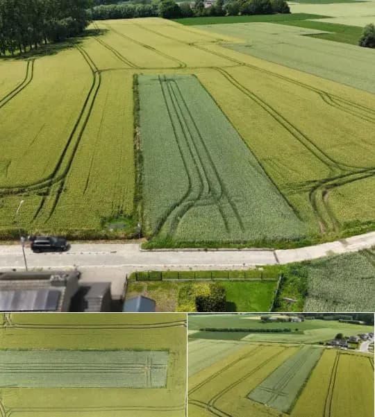 Farmland for sale