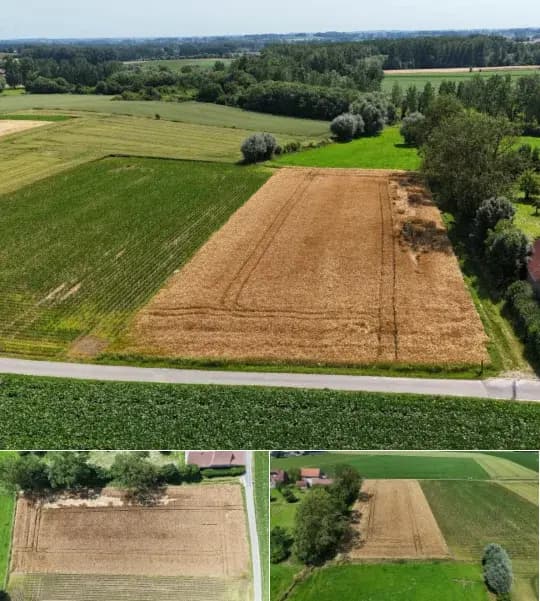 Farmland for sale
