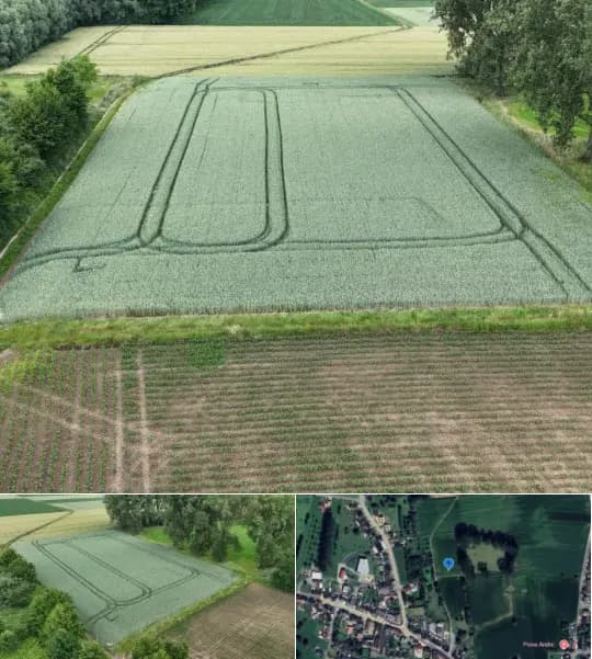 Farmland for sale