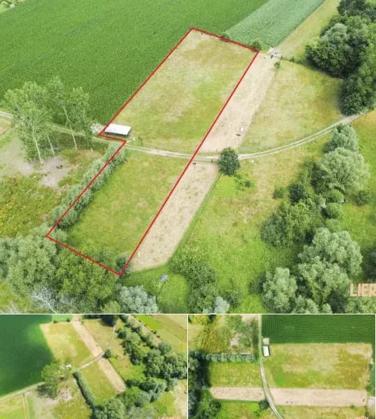 Farmland for sale