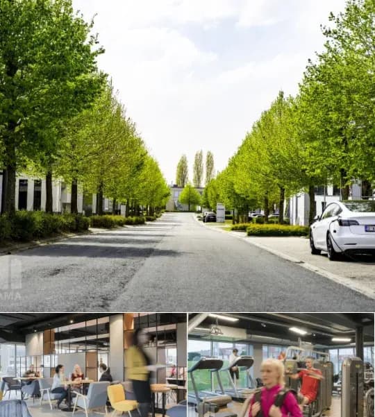 Industrial building for rent