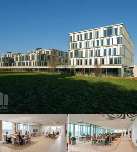Office space for rent (New construction project)