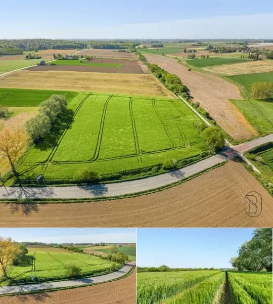Development site for sale (New construction project)