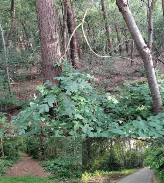 Land for sale