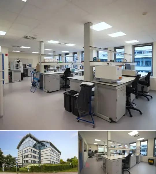 Office space for rent