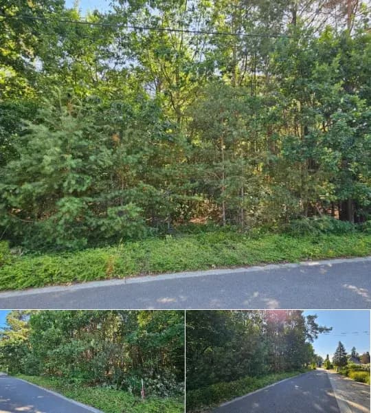 Development site for sale