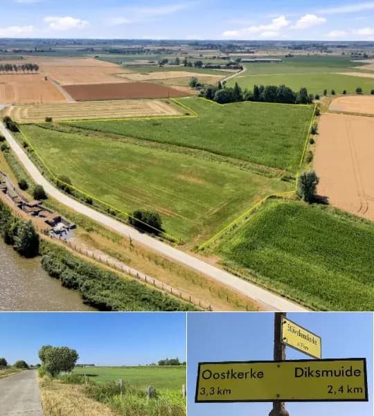 Farmland for sale