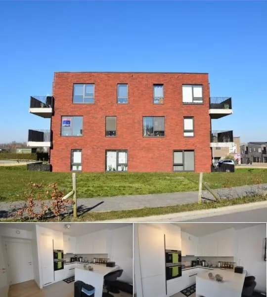 Apartment for rent