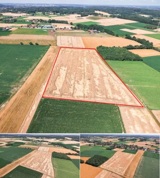 Farmland for sale