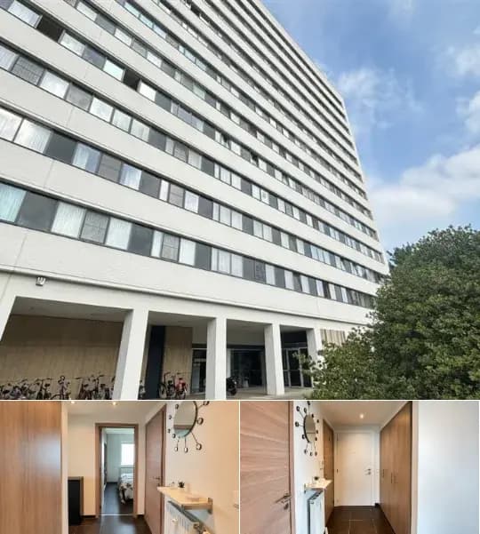 Apartment for rent